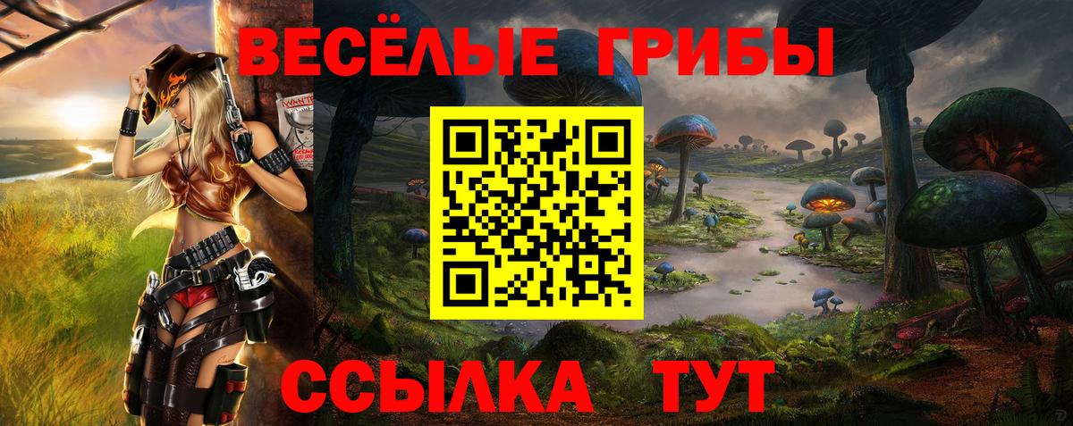 Псилоцибиновые грибы Psilocybe Печора